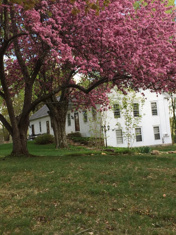Innkeeper'S Place B&B Stafford Bagian luar foto